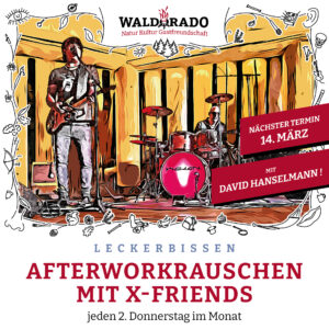 Die X-Friends mit David Hanselmann live im Erdhaus des WALDORADO, Bad Mergentheim am 14.03.2024, 20:00 Uhr!